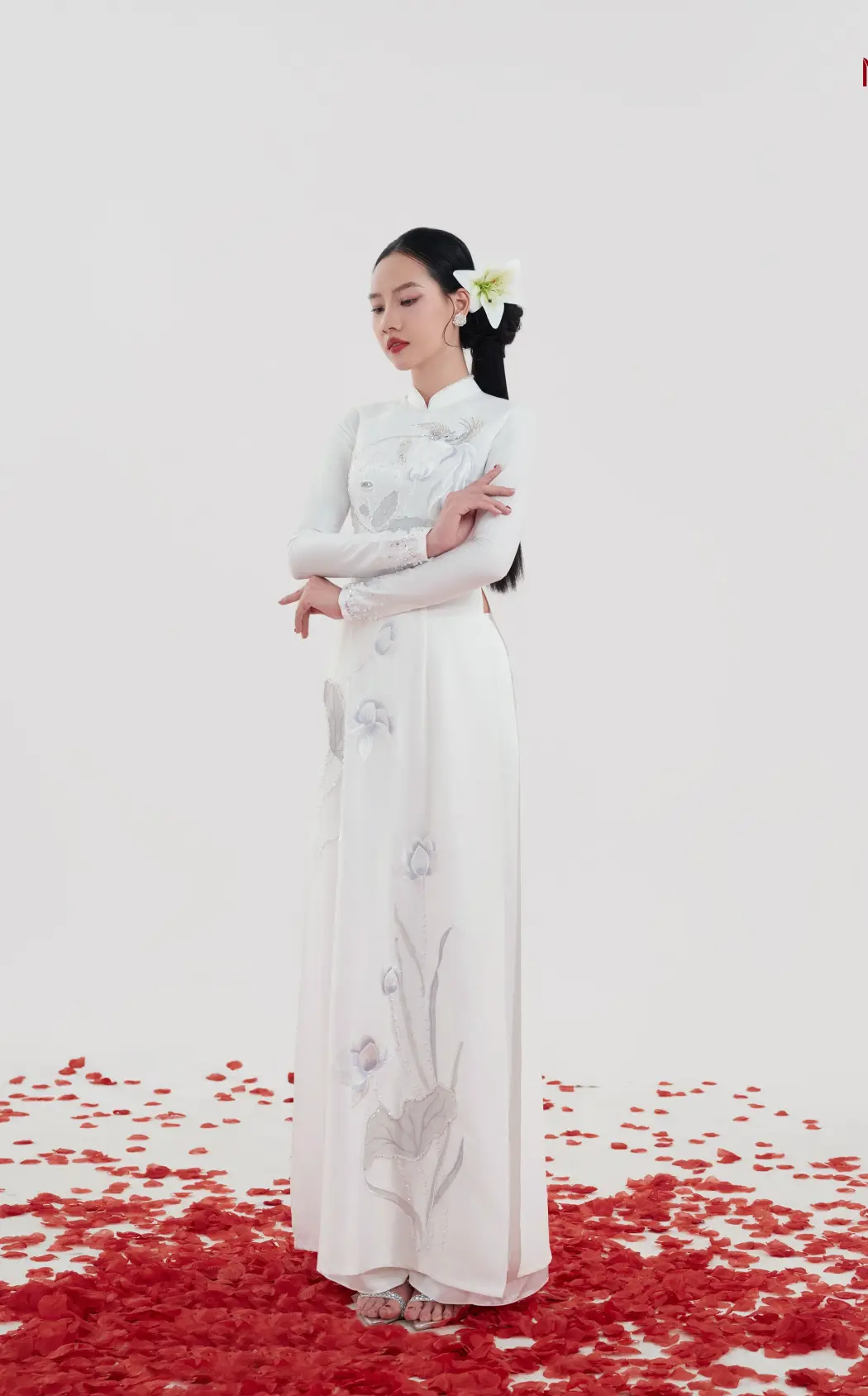 Áo Dài Non