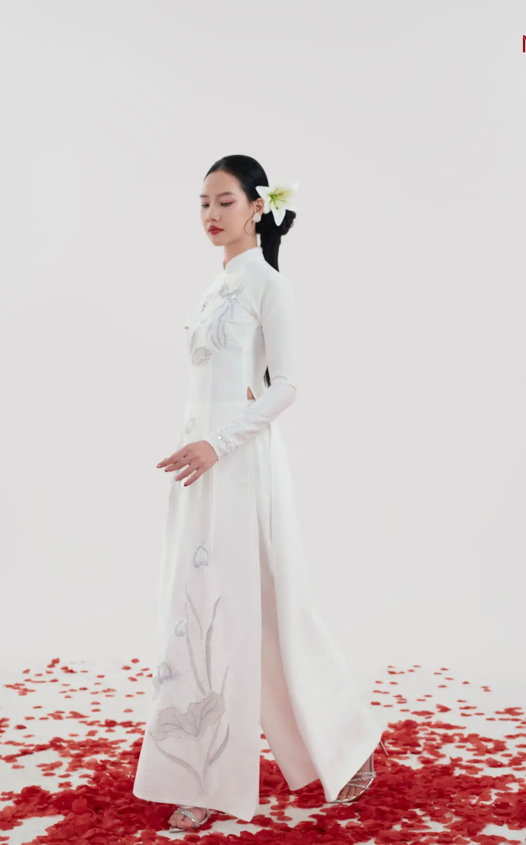 Áo Dài Non