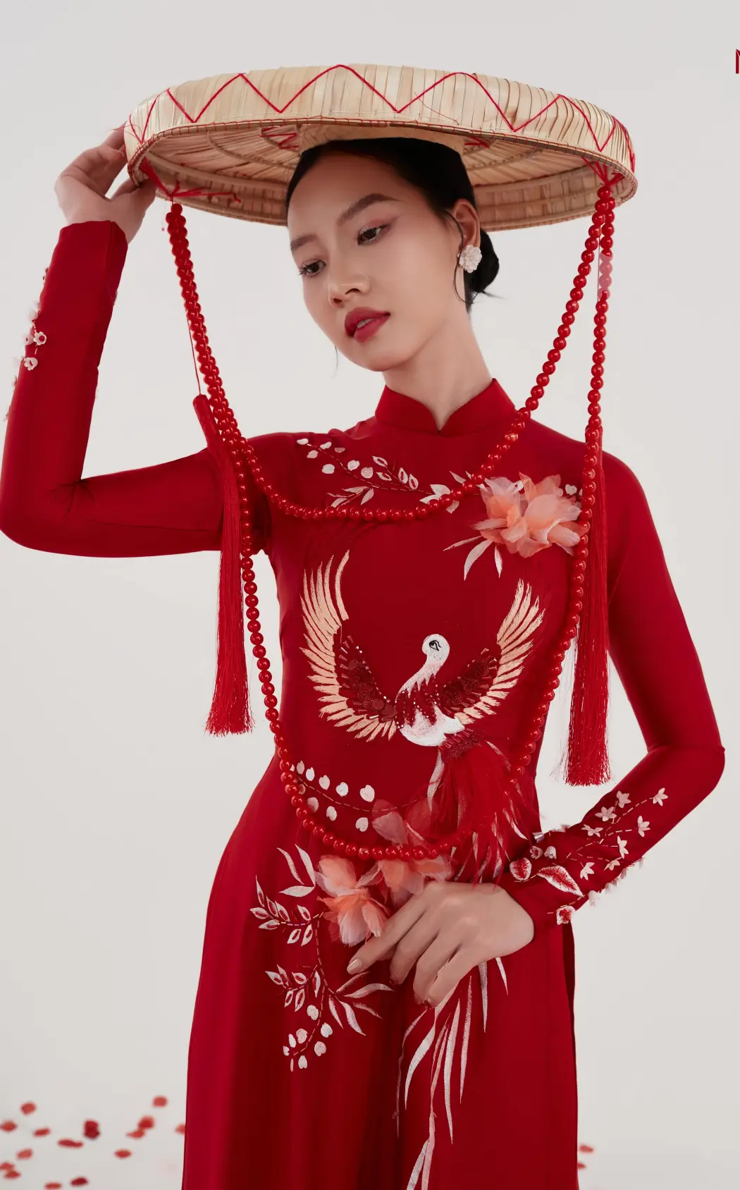 Áo Dài Non