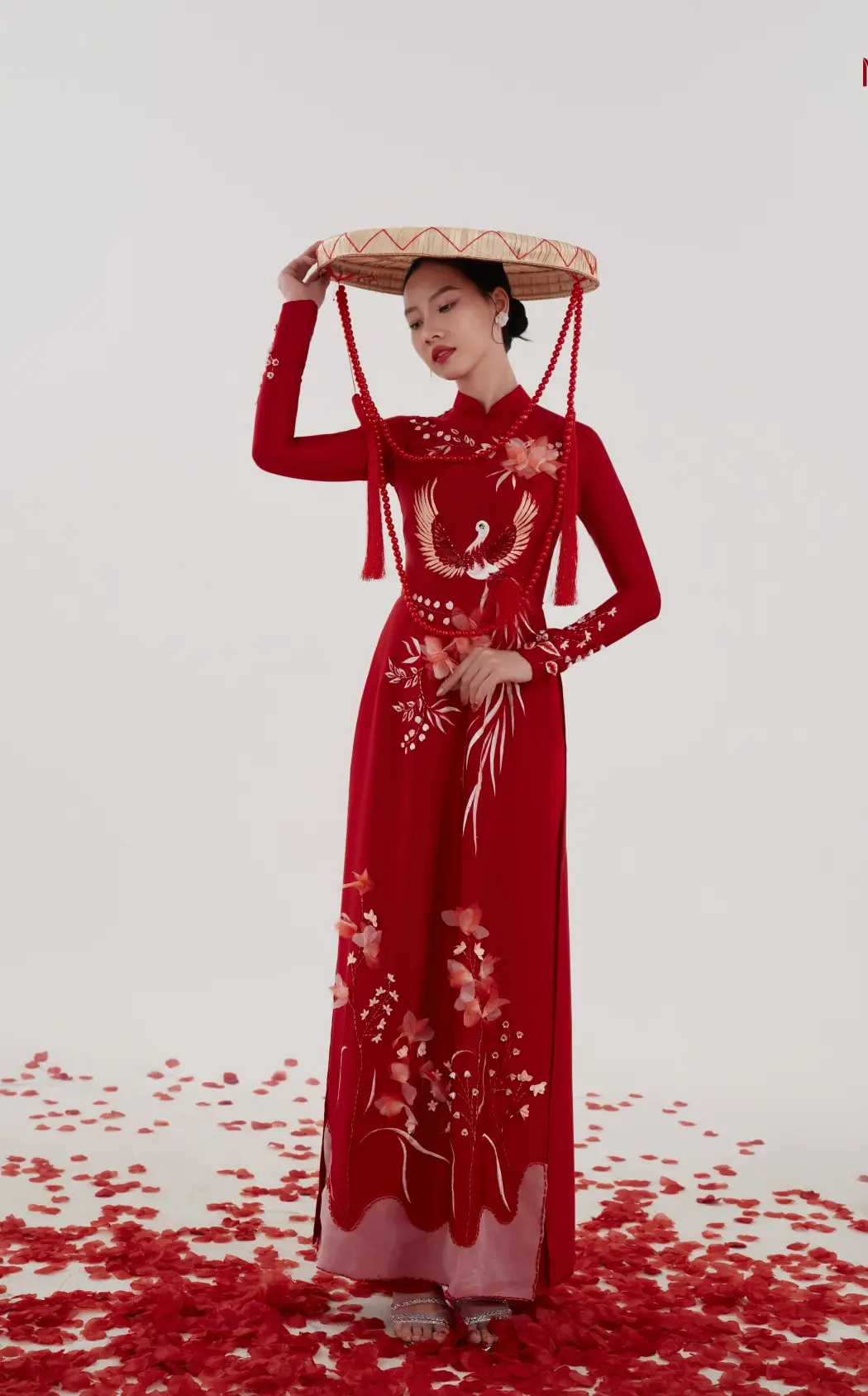 Áo Dài Non