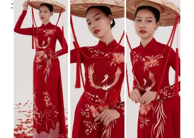 Áo Dài Non