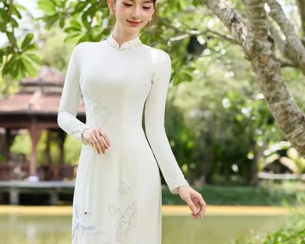 &Aacute;o D&agrave;i Non