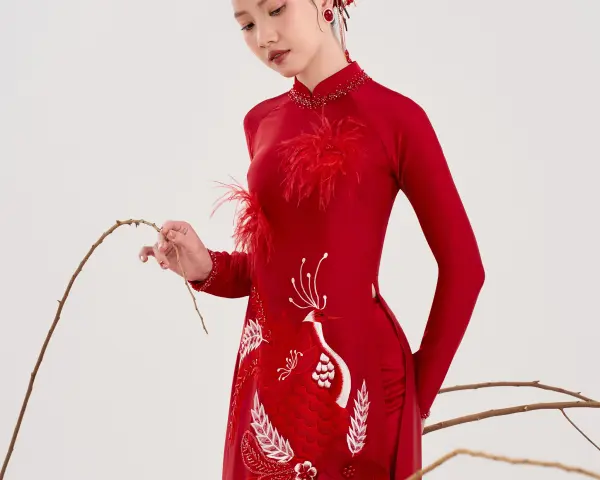 &Aacute;o D&agrave;i Non
