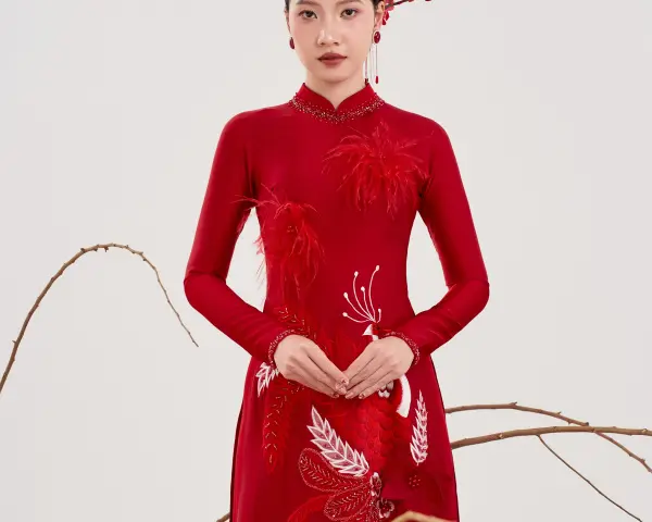 &Aacute;o D&agrave;i Non