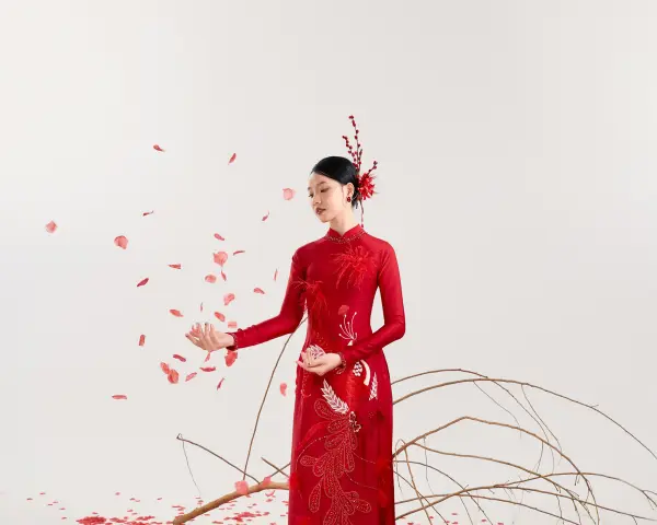 &Aacute;o D&agrave;i Non