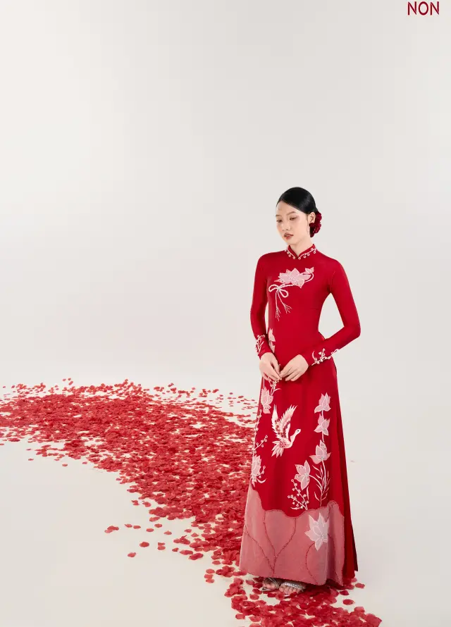 Áo Dài Non
