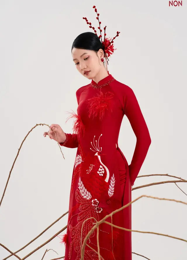 Áo Dài Non