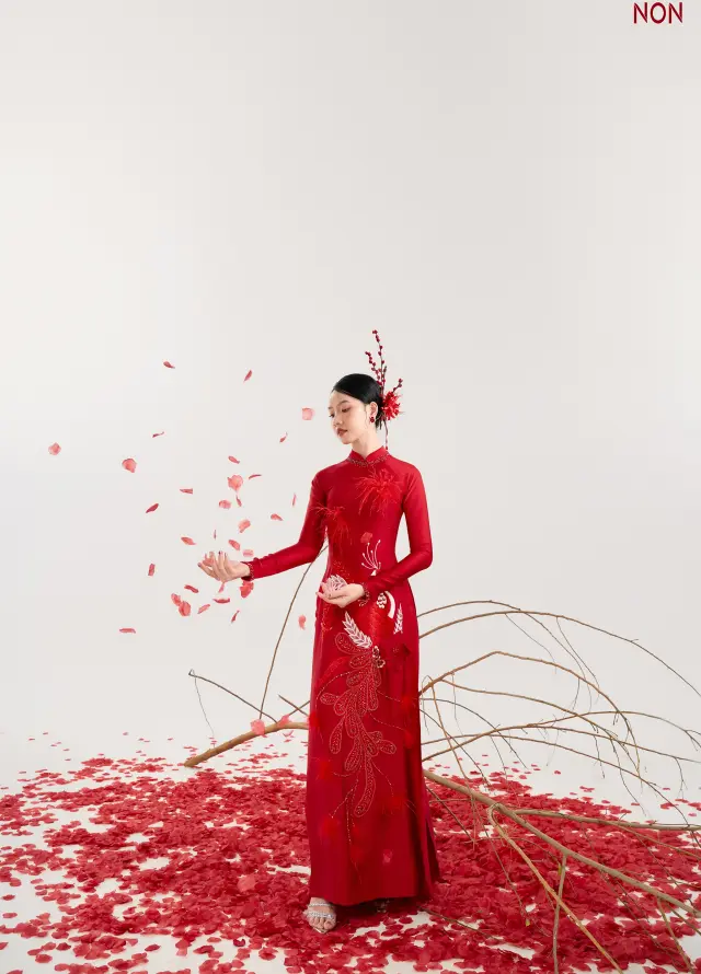 Áo Dài Non